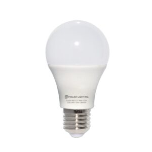 A60 LED Bulb