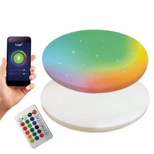 QuRi Smart Round Ceiling Light
